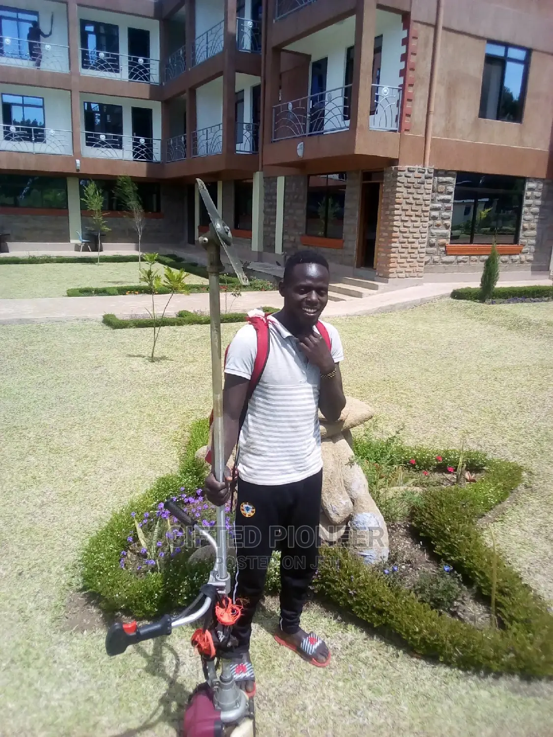 Best Grass Planting and Cutting/ Flowering