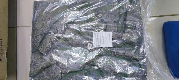 3D Aquarium Background - main view