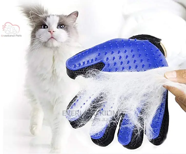 New Massage Glove / Grooming Glove