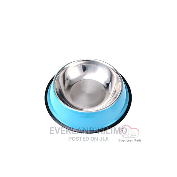 Dog Feeding Bowl -Small