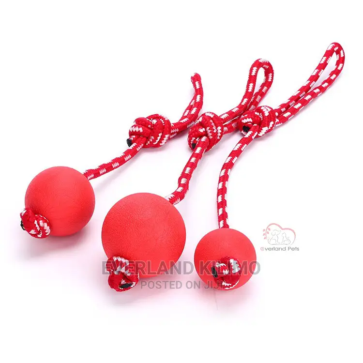 Dog Playing Ball
