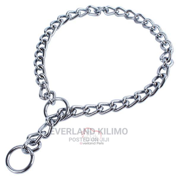 Most Selling Dog Choke Chain - main view