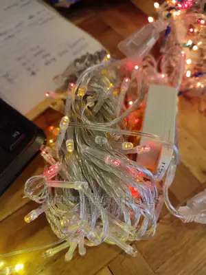 Fairly LED Light/ Christmas Lights Wholesale Price
