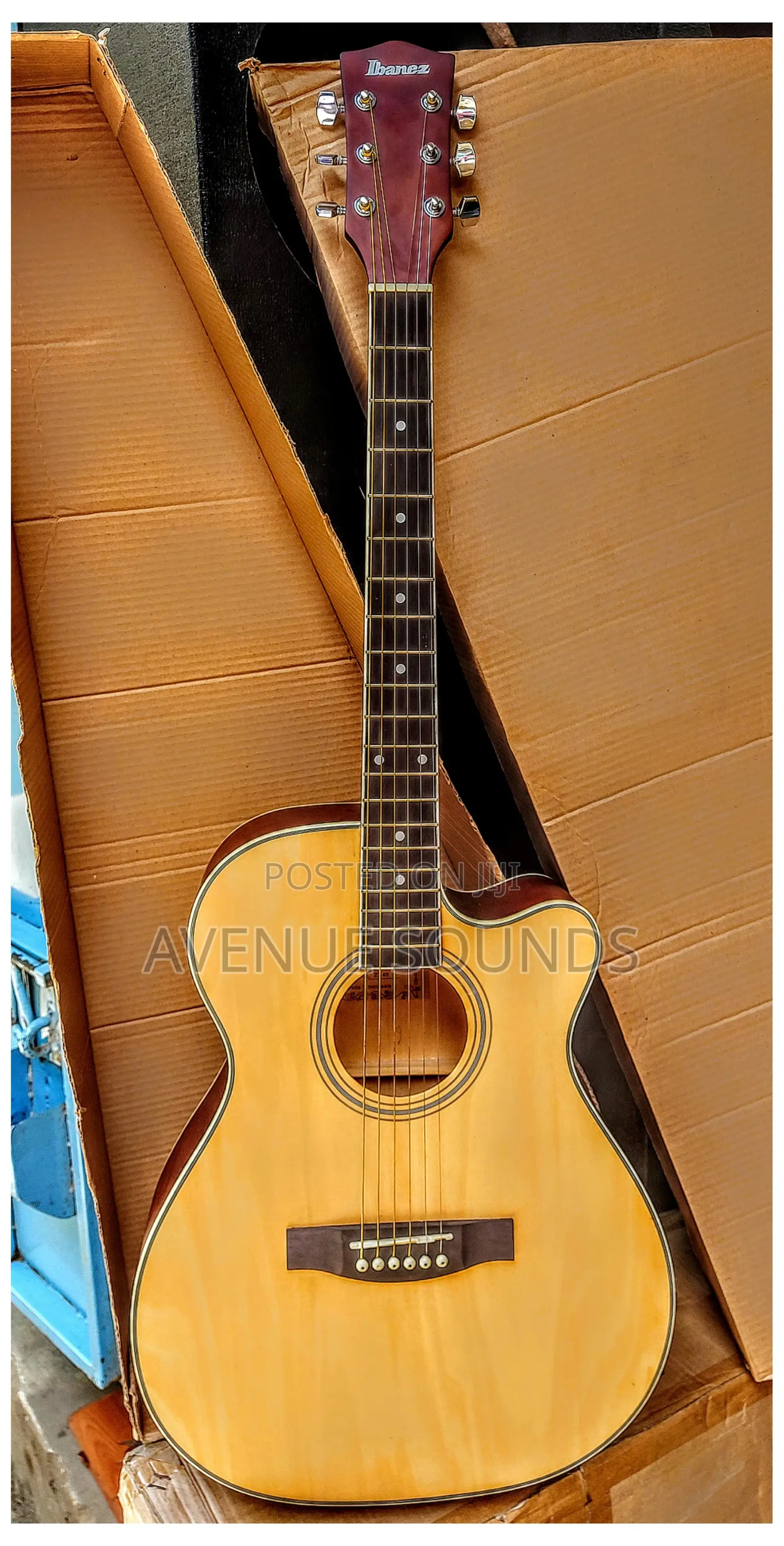 Ibanez Box Acoustic Guitar