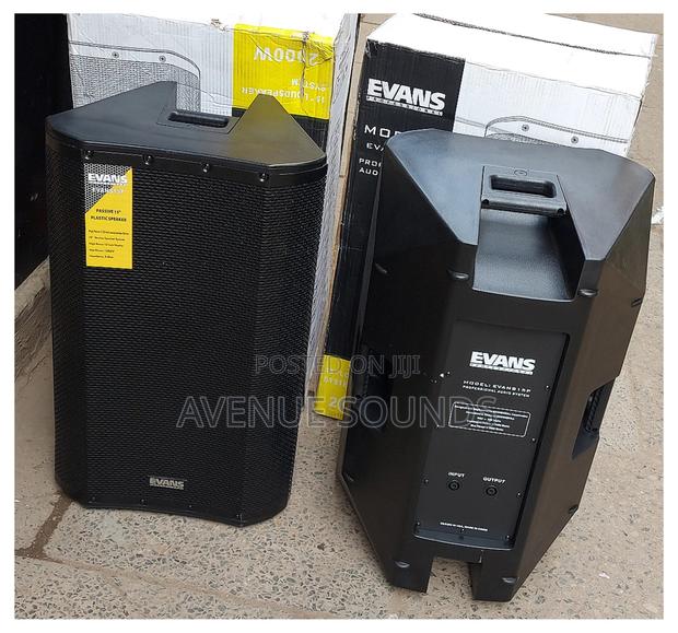 Evans 15inch Midrange Speakers