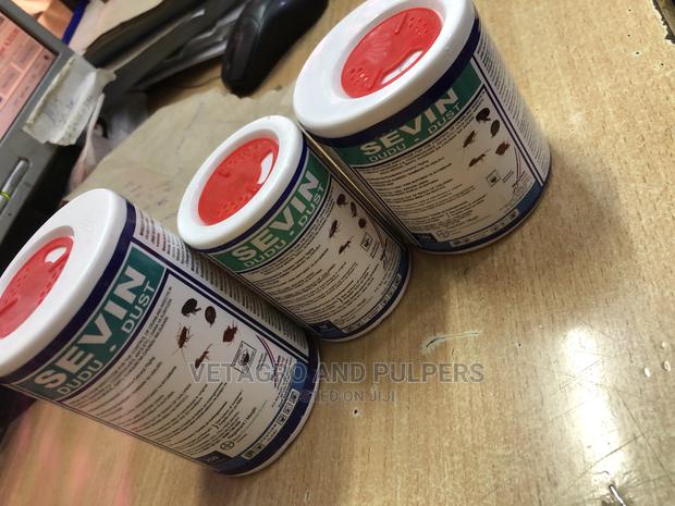 Sevin Dudu Dust - main view