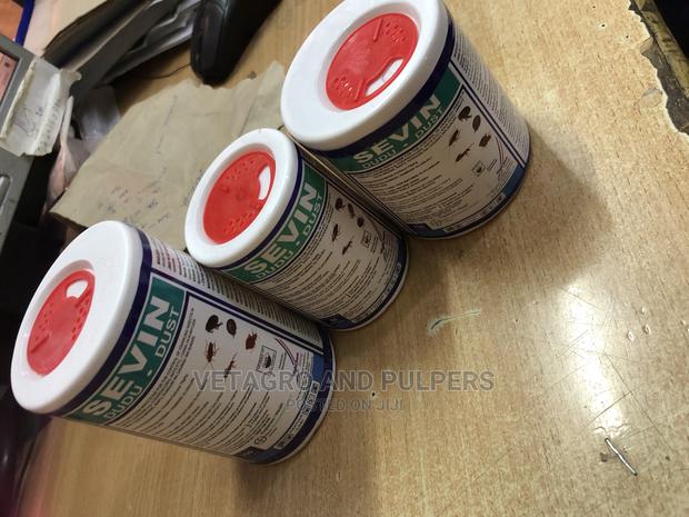 Sevin Dudu Dust - thumbnail 4