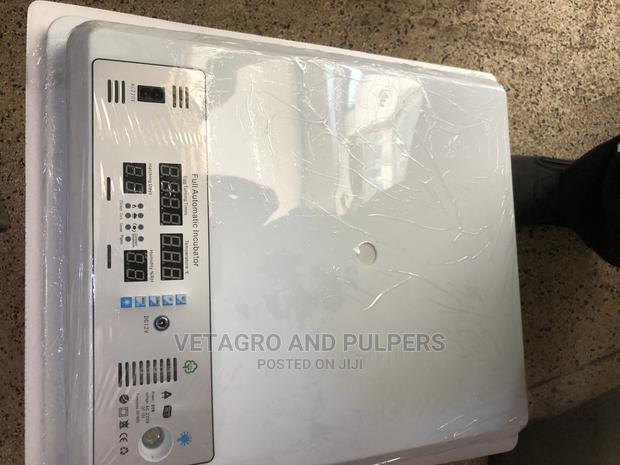 64 Eggs Incubator - main view