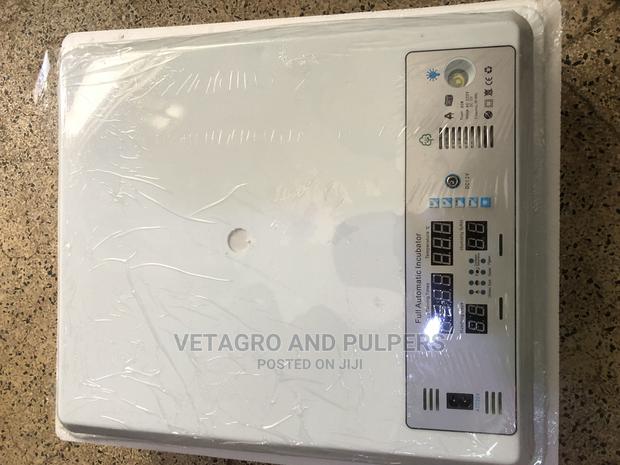 64 Eggs Incubator - thumbnail 3