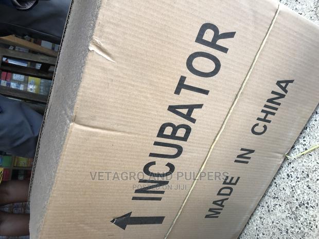 64 Eggs Incubator - thumbnail 5