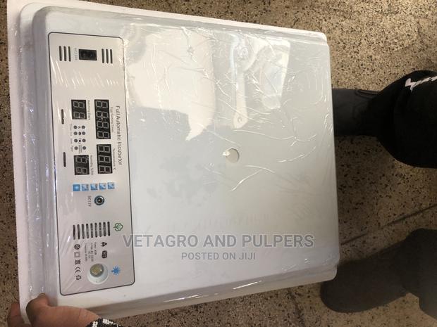 64 Eggs Incubator - thumbnail 7