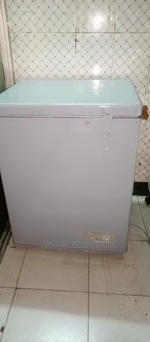 Mini Freezer