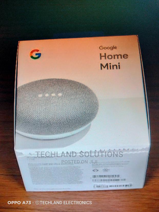 Google Home Mini Speakers - main view