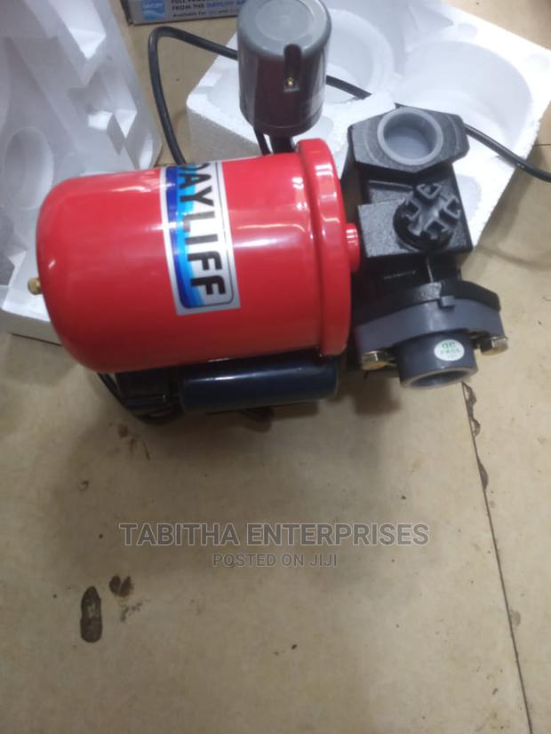 Daylife Water Pump