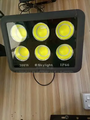 300W Floodlights
