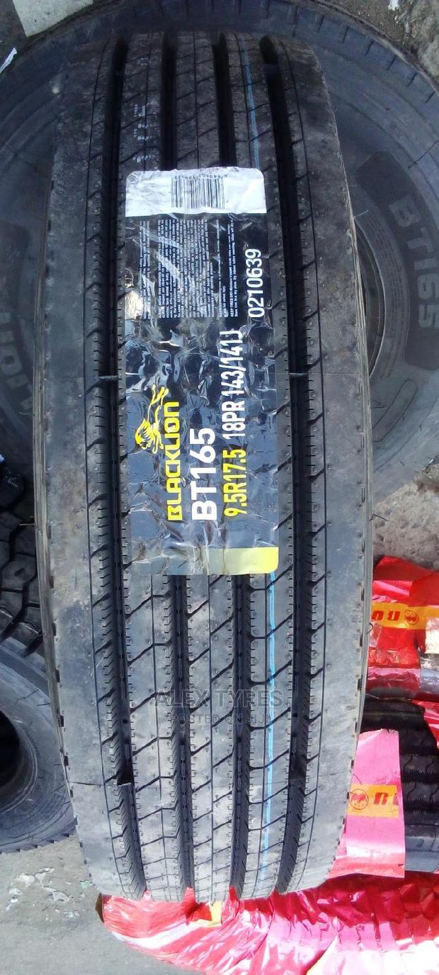 9.5r17.5 Blacklion Tyres Made in China
