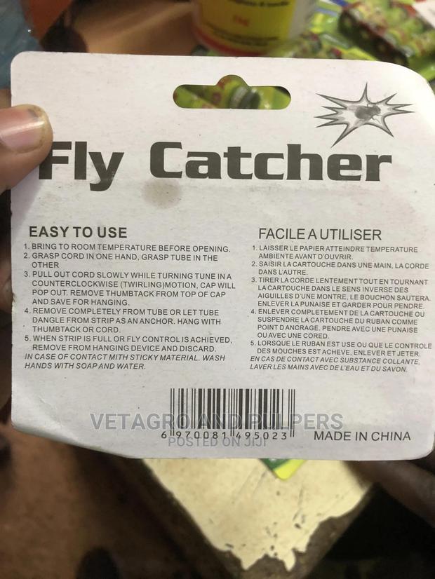 Fly Catcher (Four Piece) - thumbnail 4