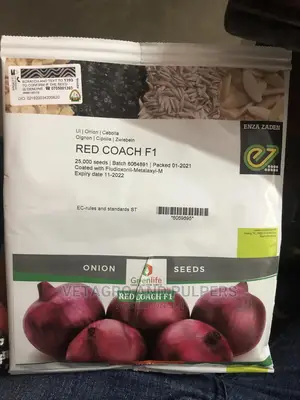 Red Coach F1 Hybrid Onions 25,000 Seeds (100gm)