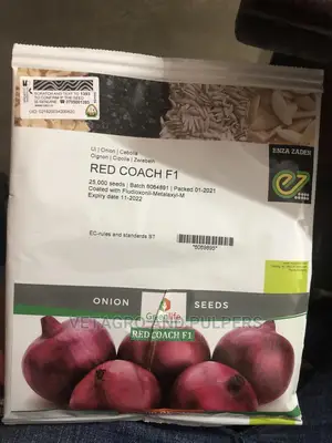 Red Coach F1 Hybrid Onions 25,000 Seeds (100gm)