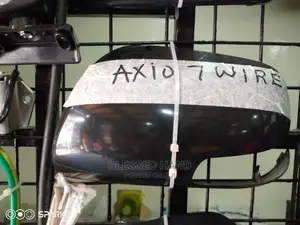 Side Mirror Covers Axio