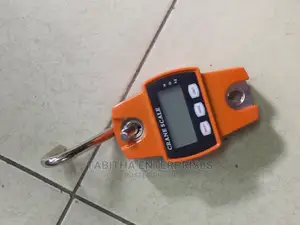 Crane Scale