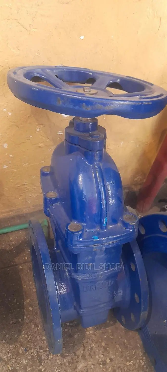8inch Sluice Valve