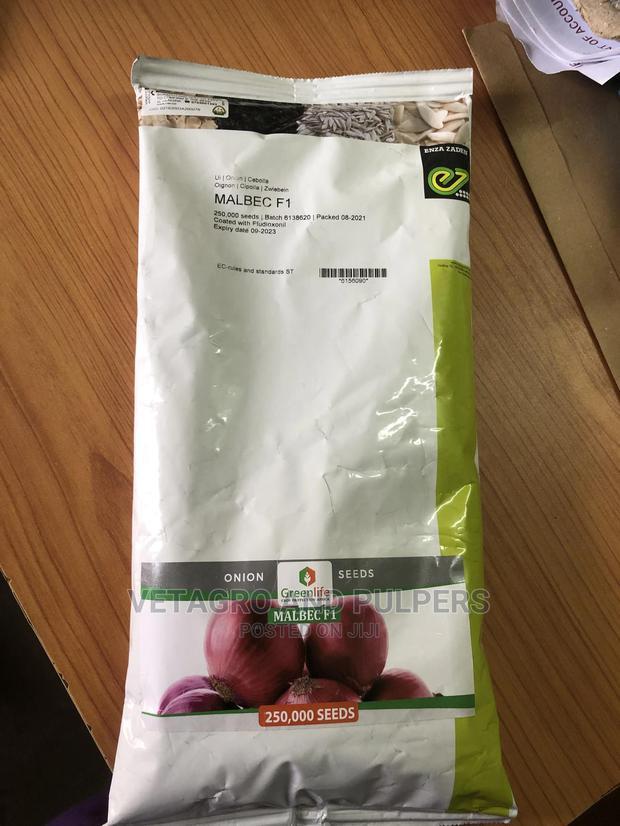 Malbec F1 Hybrid Onions Seeds 250,000 Seeds (1kg)