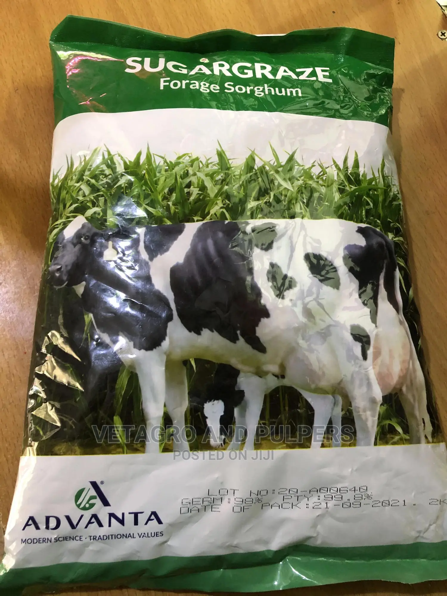 Forage Sorghum 2kg