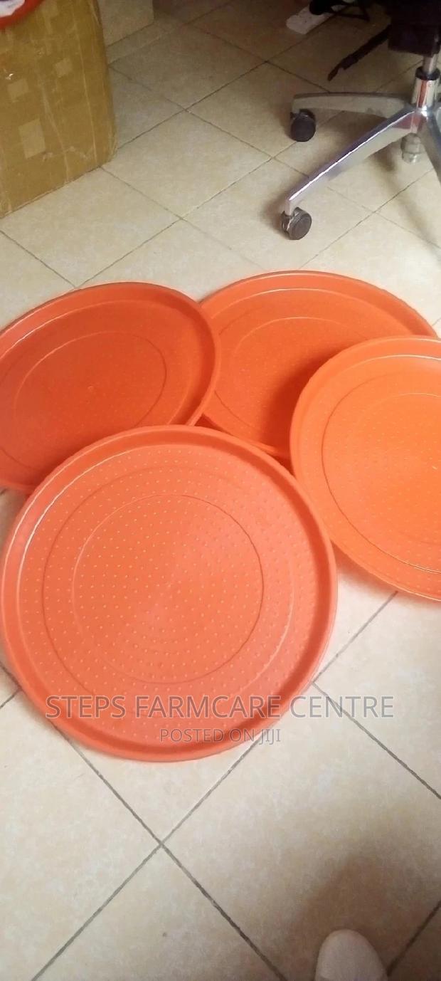 Chicks Circular Feeding Trays - main view