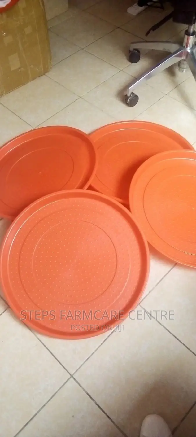 Chicks Circular Feeding Trays