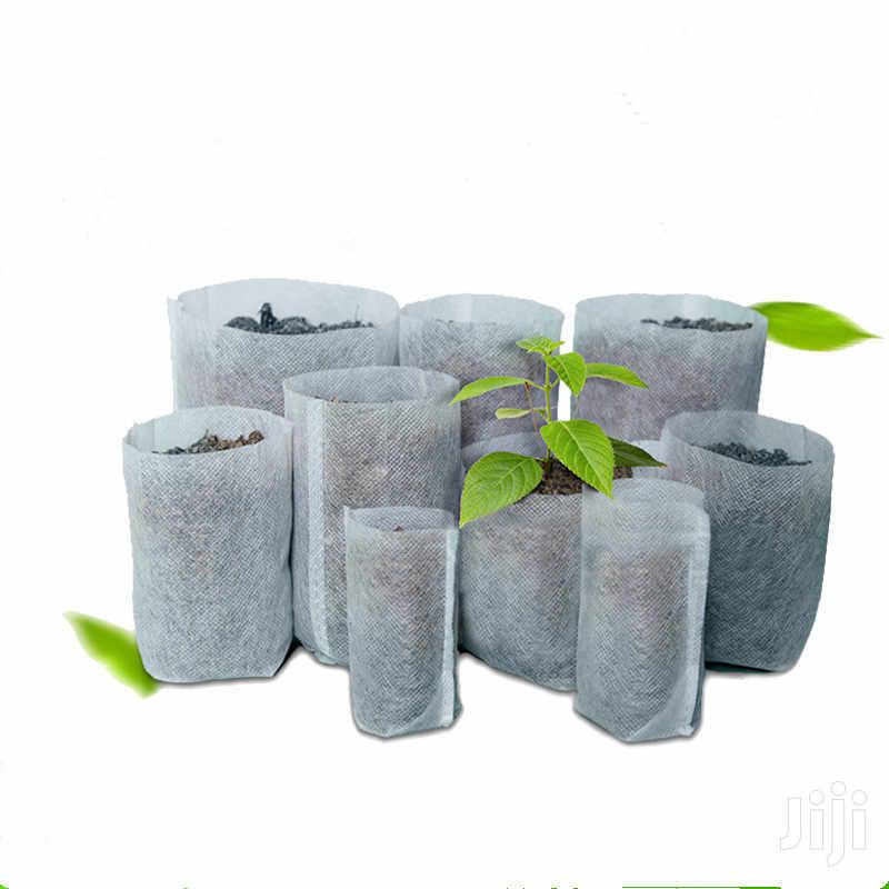 For Seedlings