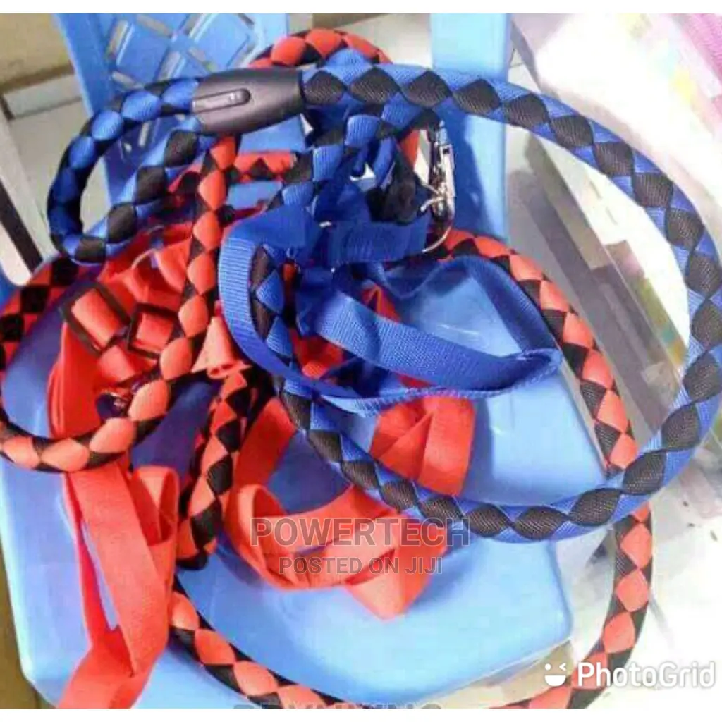 Dog Leash and Harness