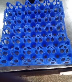 30pcs Virgin Premium Quality Egg Trays