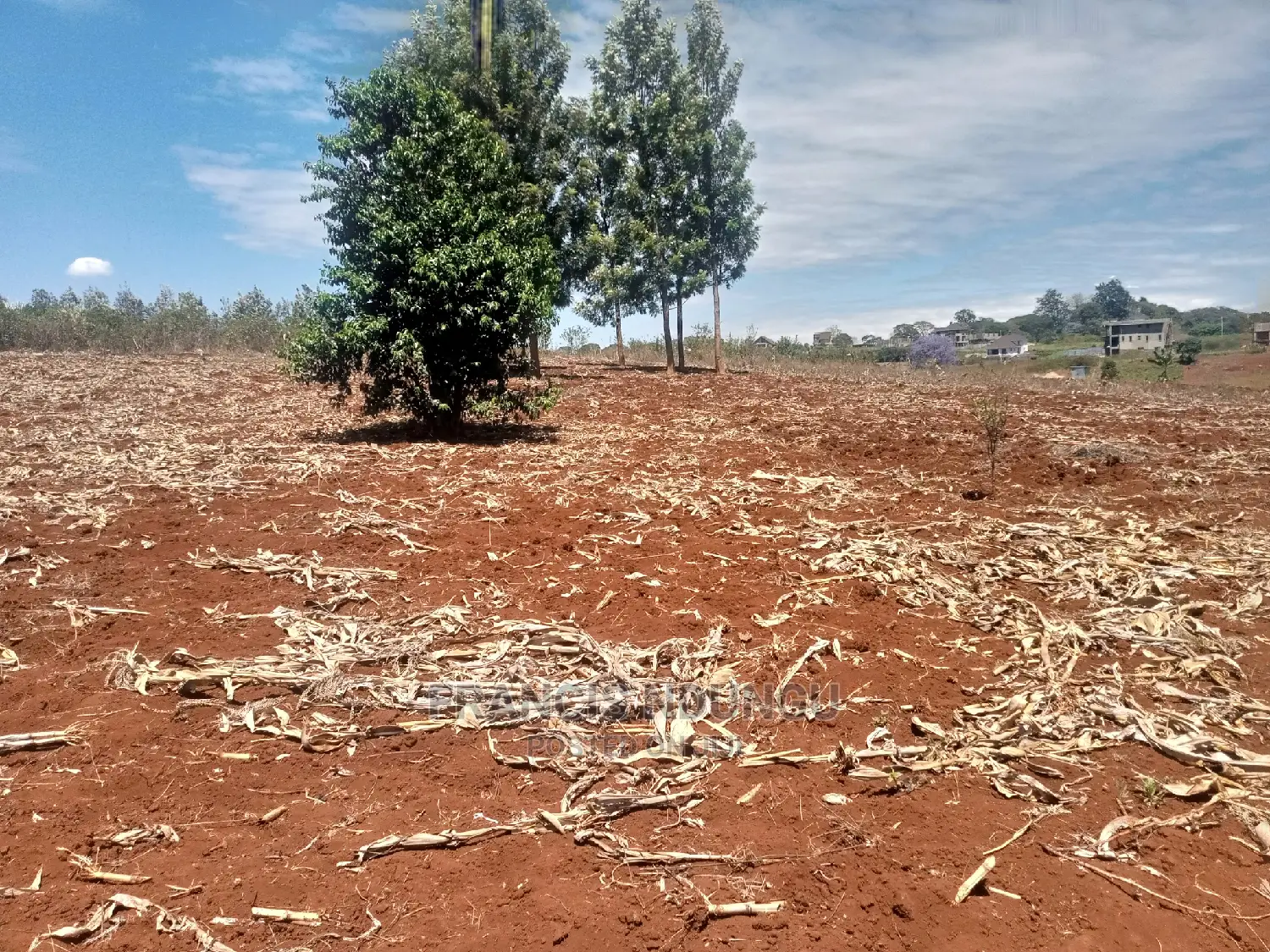 Plots for Sale Near Migaa Estate Kirigiti Githunguri Rd.