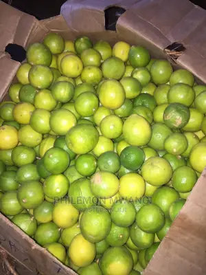 Fresh Juicy Limes