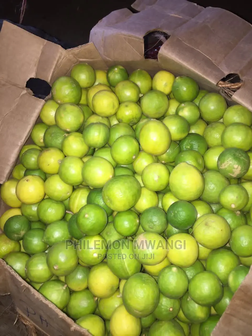 Fresh Juicy Limes