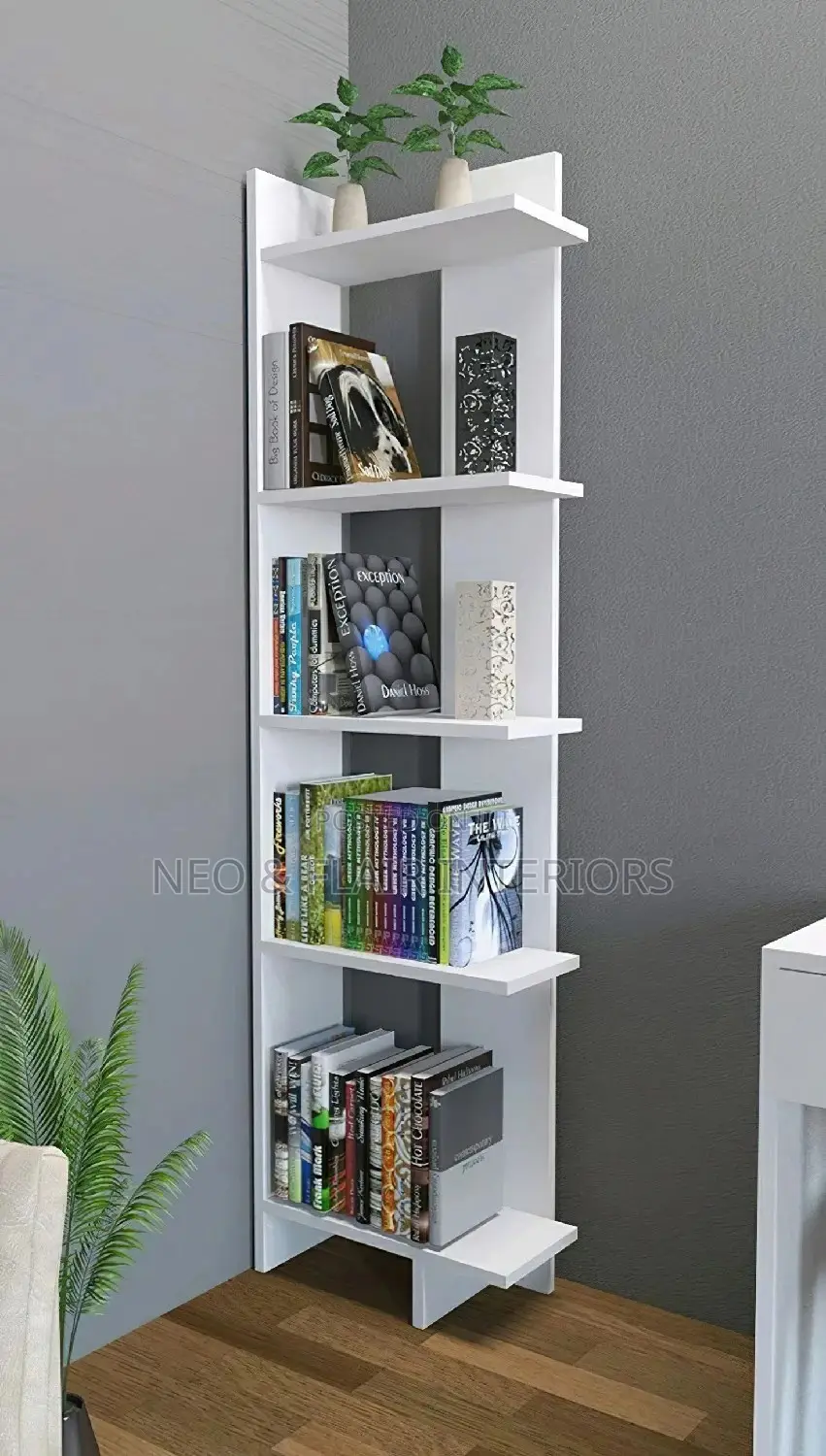 Elegant Book Shelves