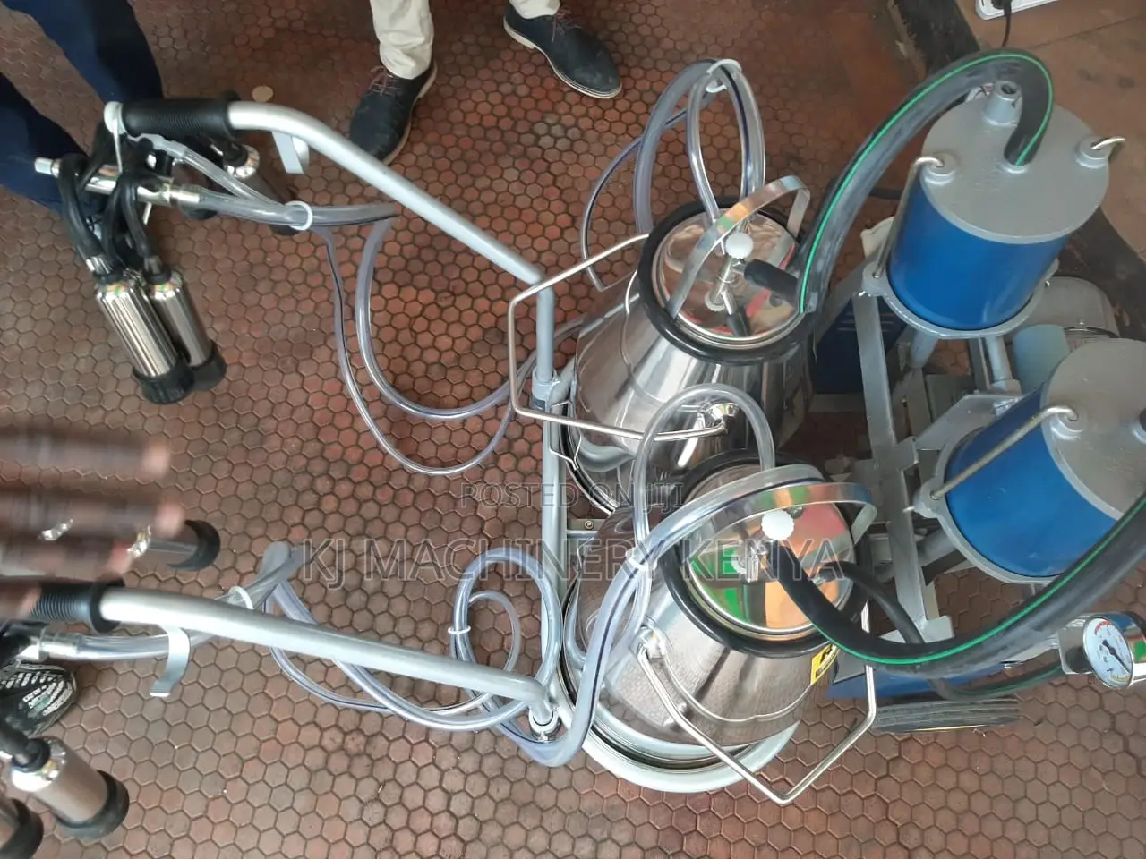 Affordable Double Cow Milking Machine