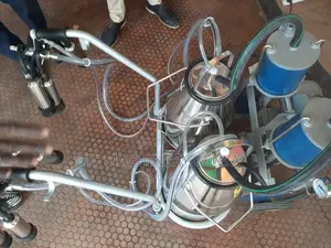 Affordable Double Cow Milking Machine