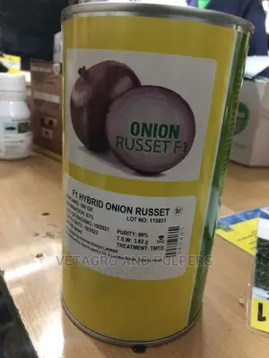 Hybrid Onions Russet 500gm