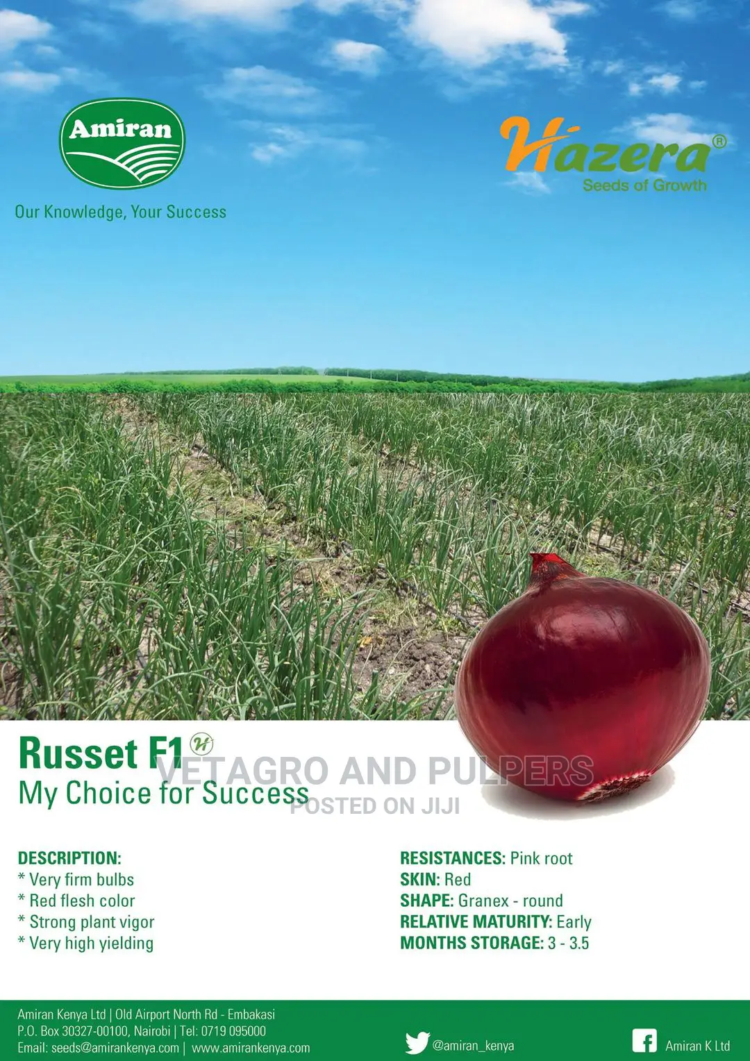 Hybrid Onions Russet 500gm