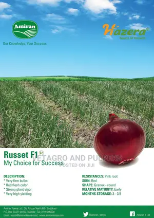 Hybrid Onions Russet 500gm