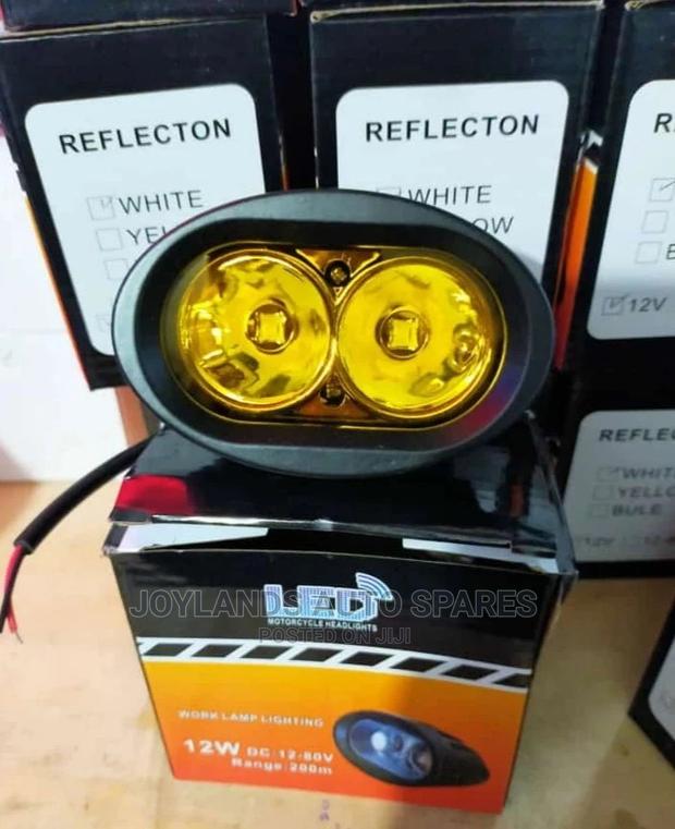 Led Light 2 Bulbs Oval - main view