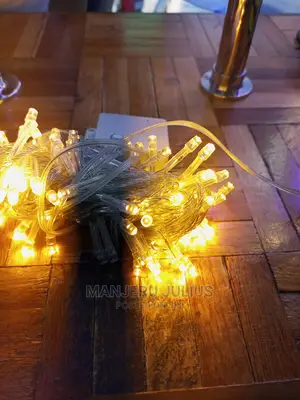 Warm White Christmas Lights