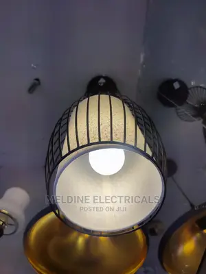 Hanging Light/ Pendant Light