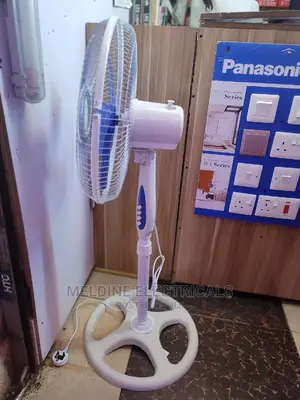 Standing Fan