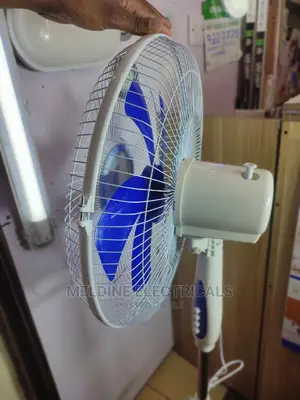 Standing Fan