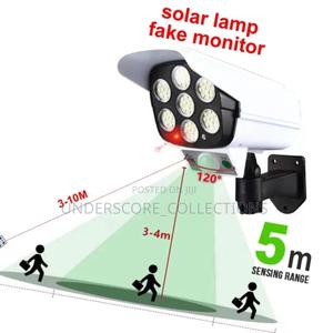 Motion Sensor Solar Lights* - main view