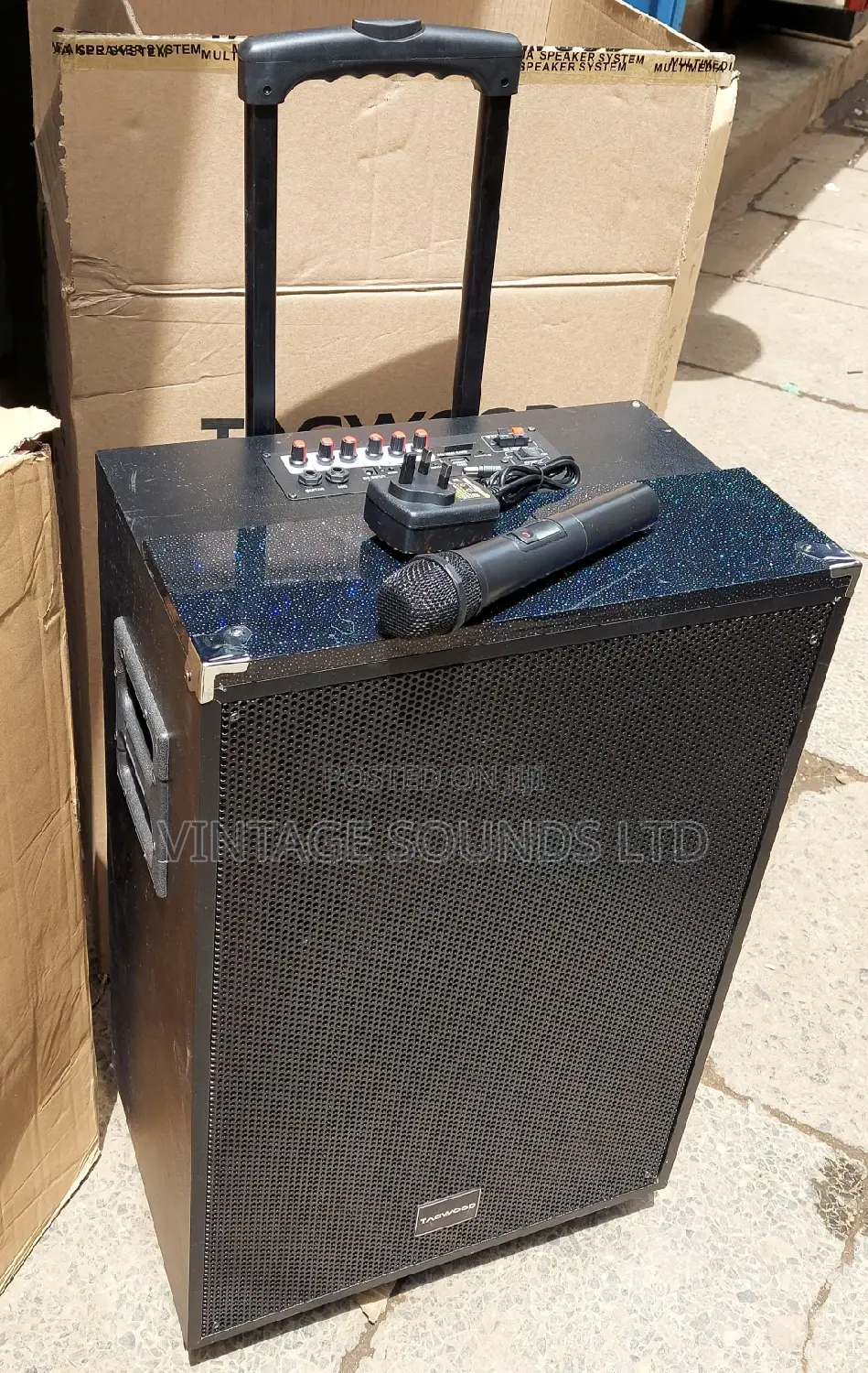 TAGWOOD LTS-15A Outdoor Subwoofer Speaker With Bluetooth