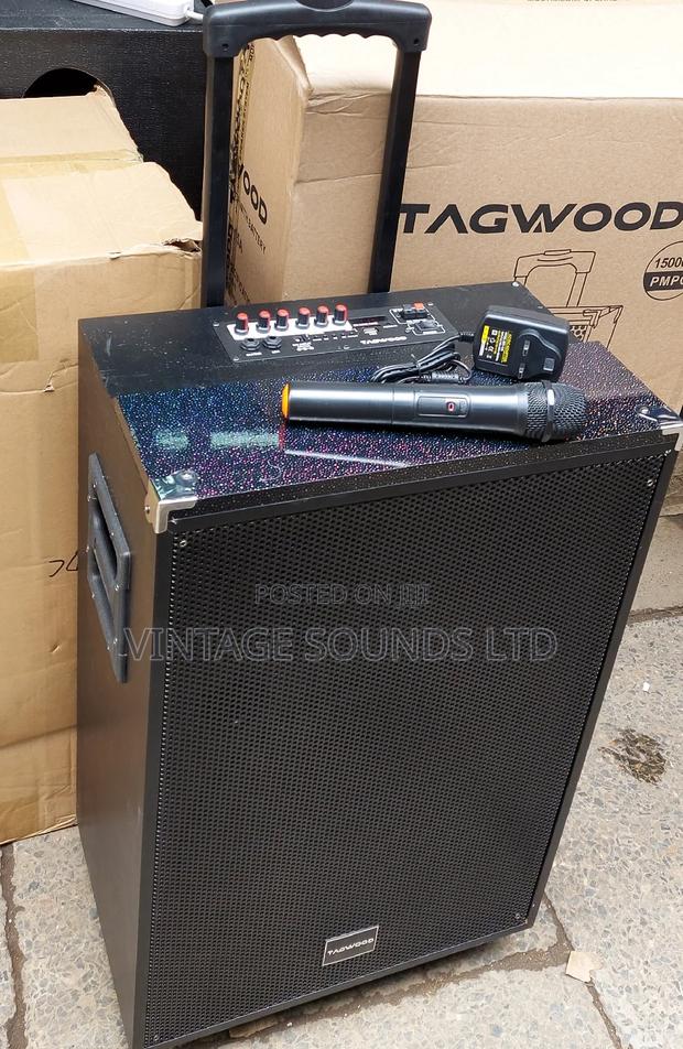 Tagwood 15inch Rechargeable Portable Powered Speaker .